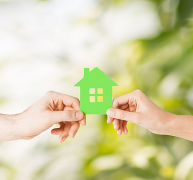 贝壳粉这个初生的向阳